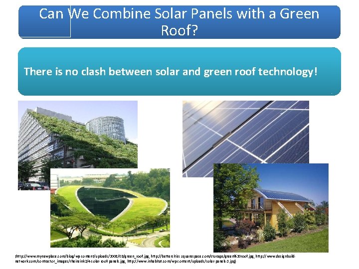 Can We Combine Solar Panels with a Green Roof? There is no clash between