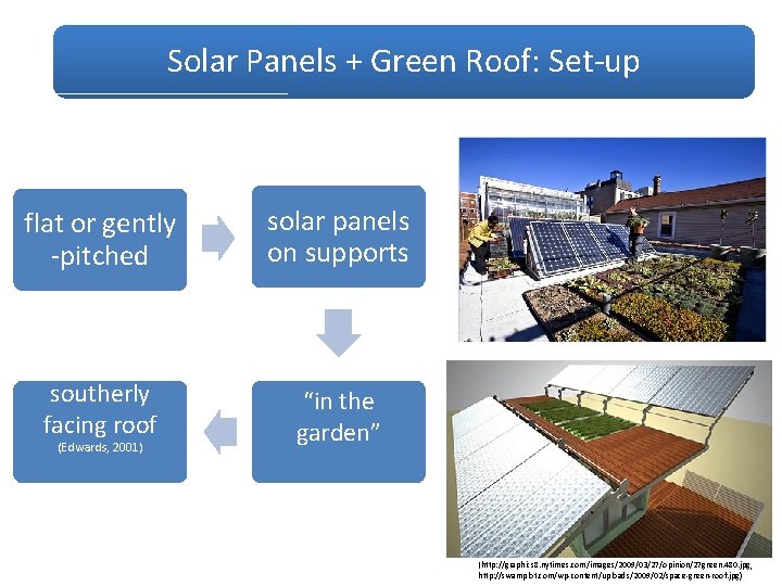 Can We Combine Solar Panels with a Green Solar Panels + Green Roof: Set-up