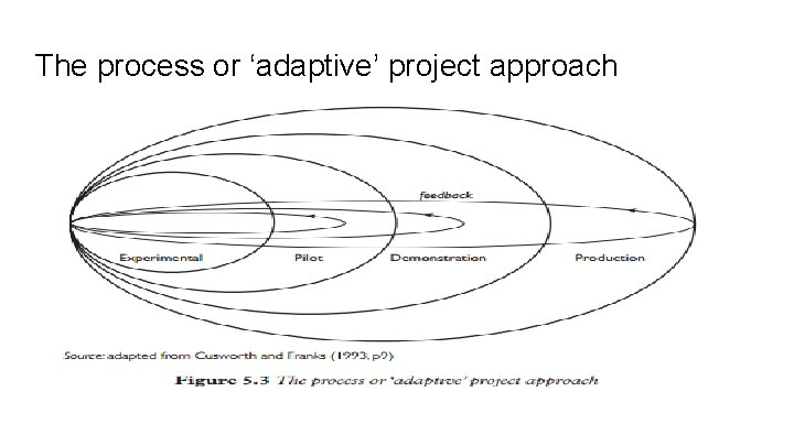 The process or ‘adaptive’ project approach 