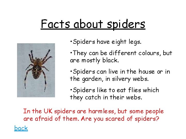 Facts about spiders • Spiders have eight legs. • They can be different colours,