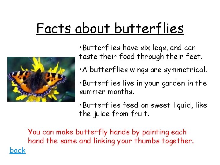 Facts about butterflies • Butterflies have six legs, and can taste their food through