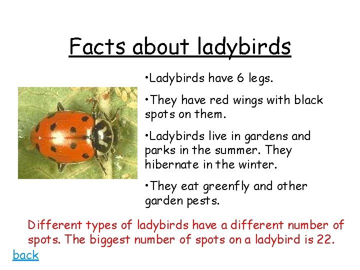 Facts about ladybirds • Ladybirds have 6 legs. • They have red wings with
