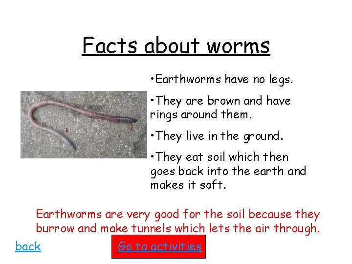 Facts about worms • Earthworms have no legs. • They are brown and have
