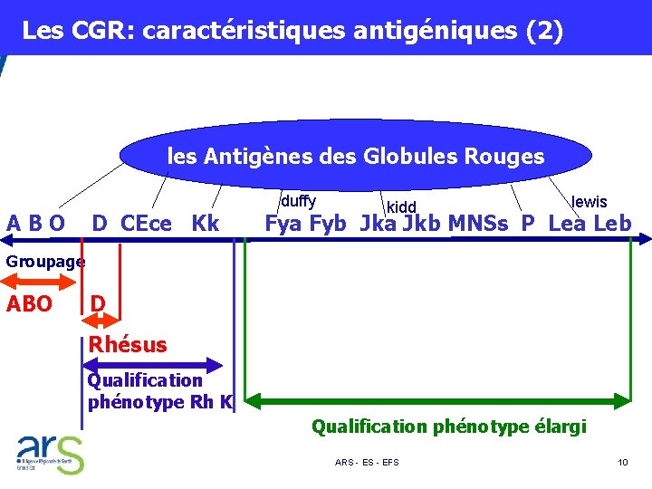  Les CGR: caractéristiques antigéniques (2) les Antigènes des Globules Rouges duffy kidd lewis