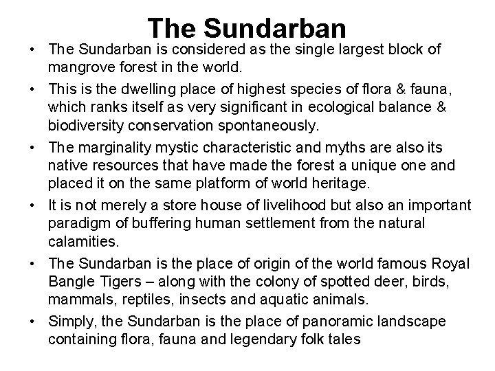 The Sundarban • The Sundarban is considered as the single largest block of mangrove