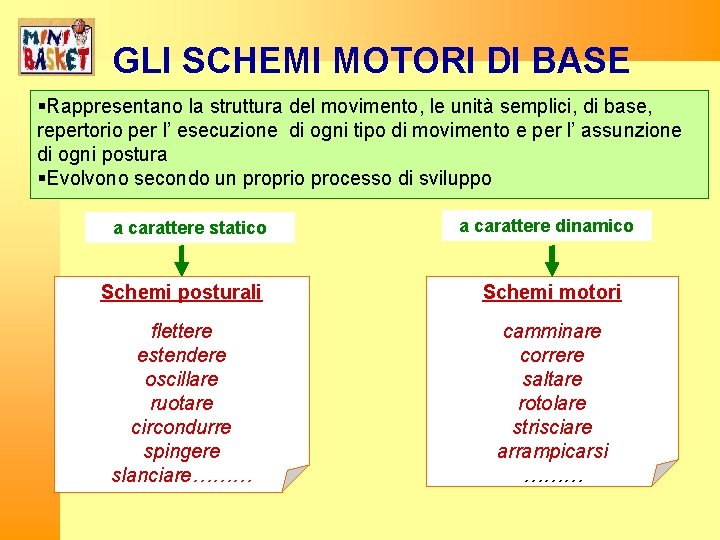GLI SCHEMI MOTORI DI BASE Rappresentano la struttura del movimento, le unità semplici, di