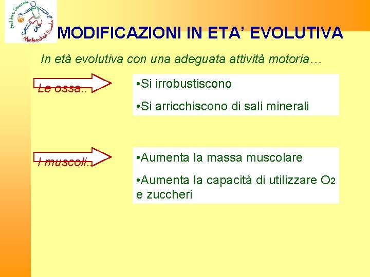 MODIFICAZIONI IN ETA’ EVOLUTIVA In età evolutiva con una adeguata attività motoria… Le ossa.