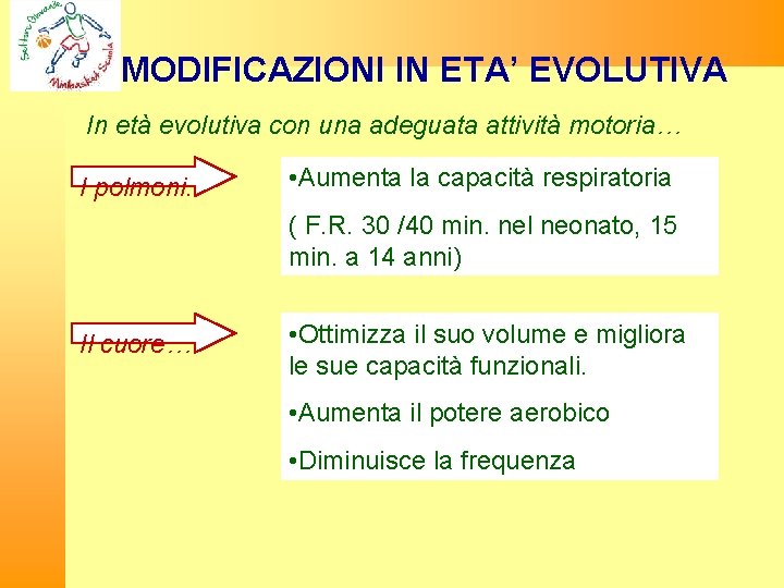 MODIFICAZIONI IN ETA’ EVOLUTIVA In età evolutiva con una adeguata attività motoria… I polmoni.