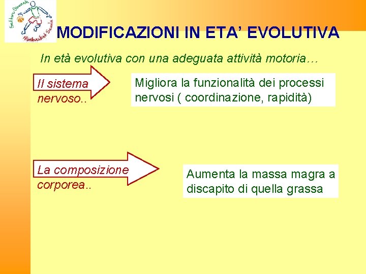 MODIFICAZIONI IN ETA’ EVOLUTIVA In età evolutiva con una adeguata attività motoria… Il sistema