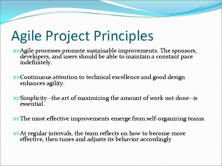 Agile Project Principles Agile processes promote sustainable improvements. The sponsors, developers, and users should