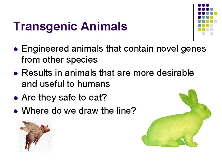 Transgenic Animals l l Engineered animals that contain novel genes from other species Results