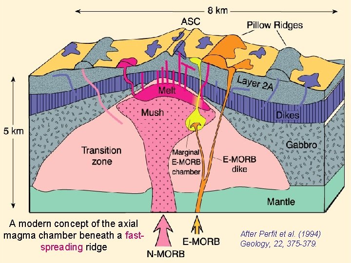 A modern concept of the axial magma chamber beneath a fastspreading ridge After Perfit