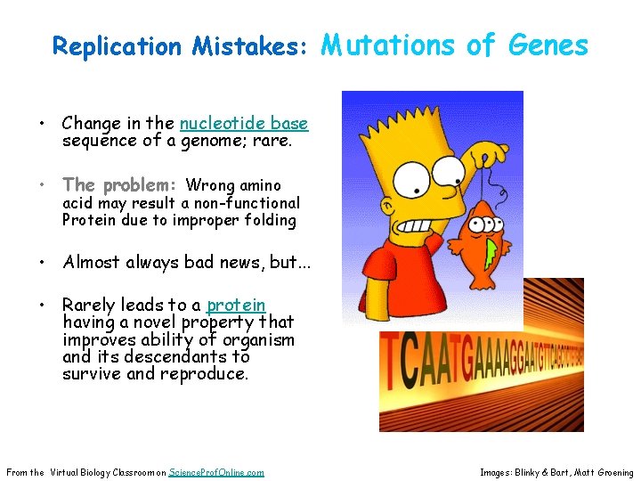 Replication Mistakes: Mutations of Genes • Change in the nucleotide base sequence of a