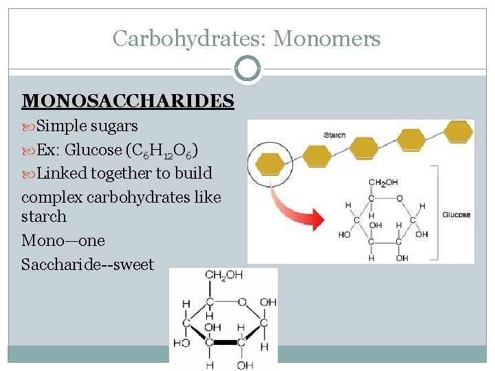 Carbohydrates: Monomers MONOSACCHARIDES Simple sugars Ex: Glucose (C 6 H 12 O 6) Linked