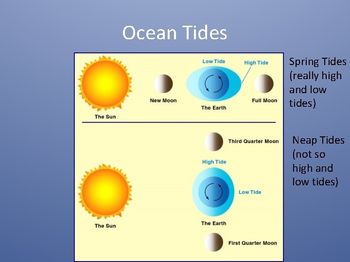 Ocean Tides Spring Tides (really high and low tides) Neap Tides (not so high