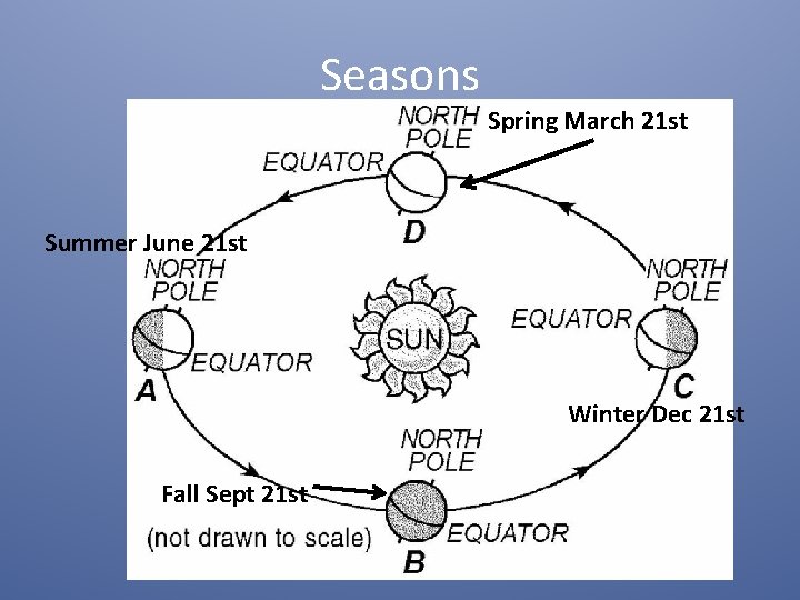 Seasons Spring March 21 st Summer June 21 st Winter Dec 21 st Fall