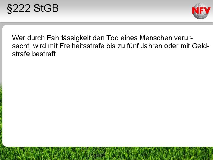 § 222 St. GB Wer durch Fahrlässigkeit den Tod eines Menschen verursacht, wird mit