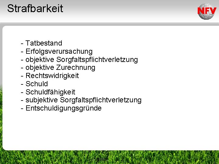 Strafbarkeit - Tatbestand - Erfolgsverursachung - objektive Sorgfaltspflichtverletzung - objektive Zurechnung - Rechtswidrigkeit -