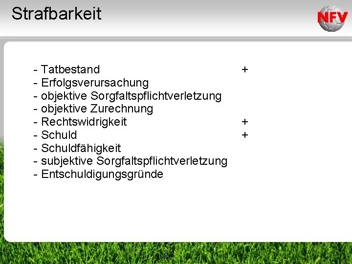 Strafbarkeit - Tatbestand - Erfolgsverursachung - objektive Sorgfaltspflichtverletzung - objektive Zurechnung - Rechtswidrigkeit -