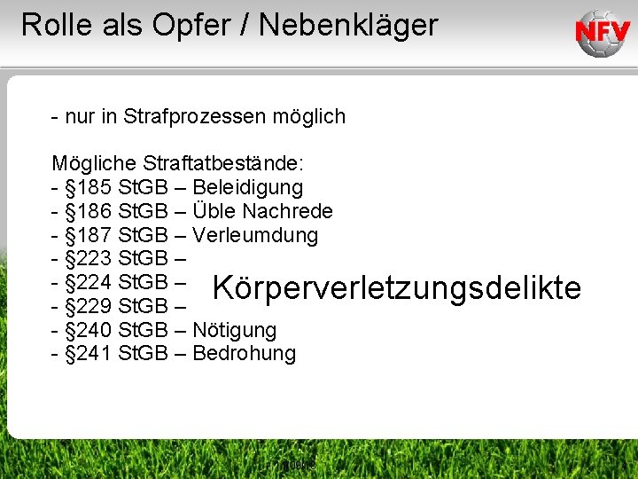 Rolle als Opfer / Nebenkläger - nur in Strafprozessen möglich Mögliche Straftatbestände: - §