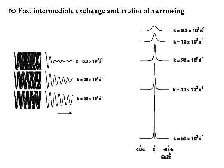  Fast intermediate exchange and motional narrowing 