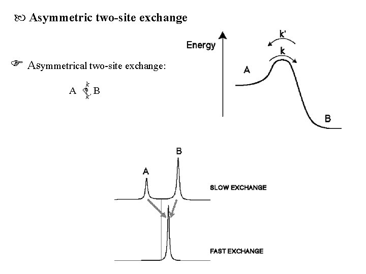  Asymmetric two-site exchange Asymmetrical two-site exchange: k A k’ B 