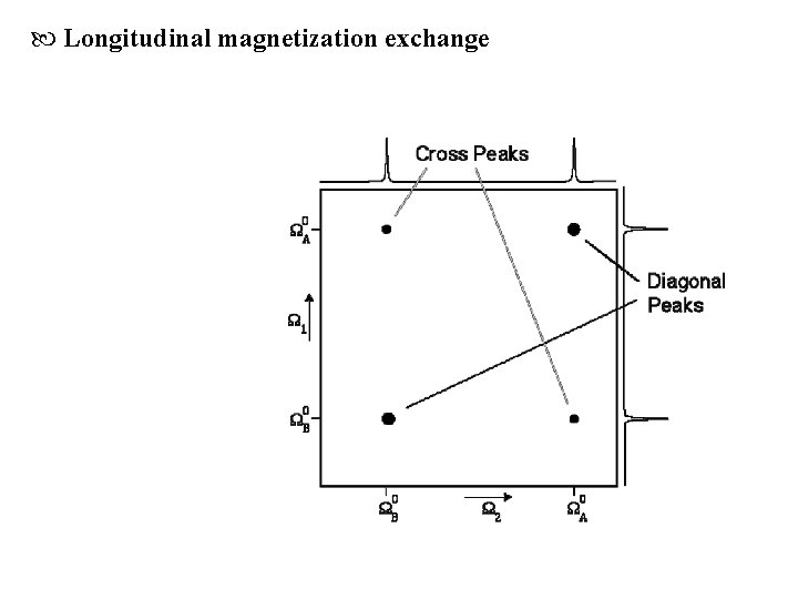  Longitudinal magnetization exchange 