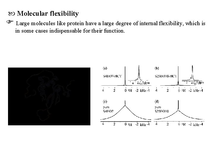  Molecular flexibility Large molecules like protein have a large degree of internal flexibility,