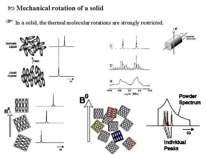  Mechanical rotation of a solid In a solid, thermal molecular rotations are strongly