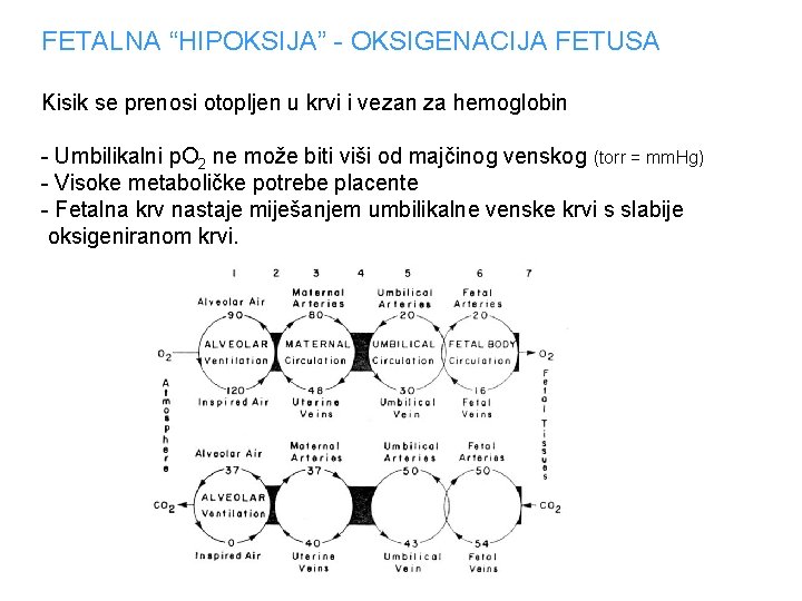 FETALNA “HIPOKSIJA” - OKSIGENACIJA FETUSA Kisik se prenosi otopljen u krvi i vezan za