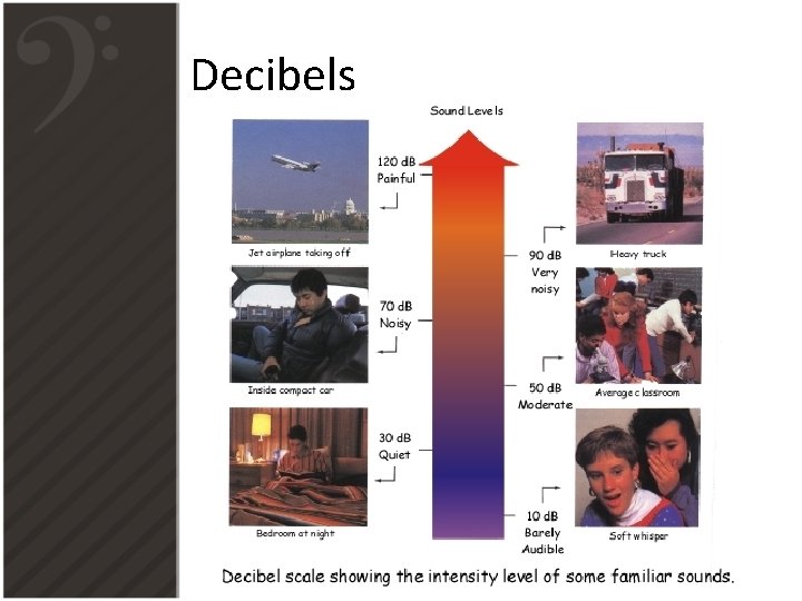 Decibels Decibels
