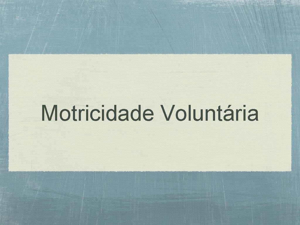 Motricidade Voluntária 