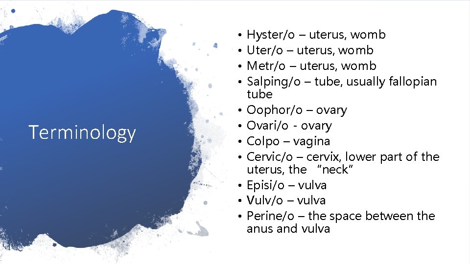  • • Terminology • • Hyster/o – uterus, womb Uter/o – uterus, womb