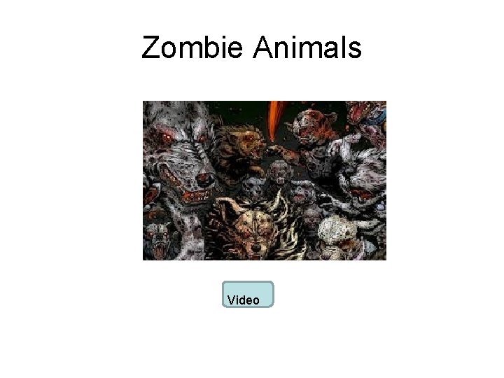 Zombie Animals Video 