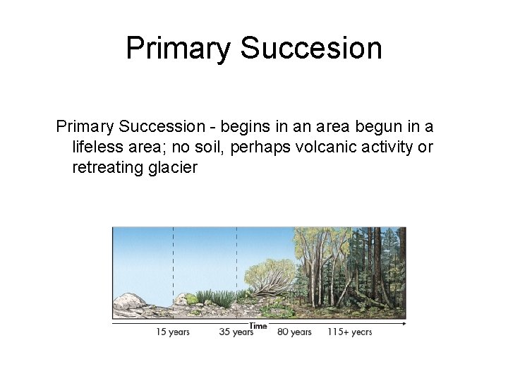 Primary Succesion Primary Succession - begins in an area begun in a lifeless area;