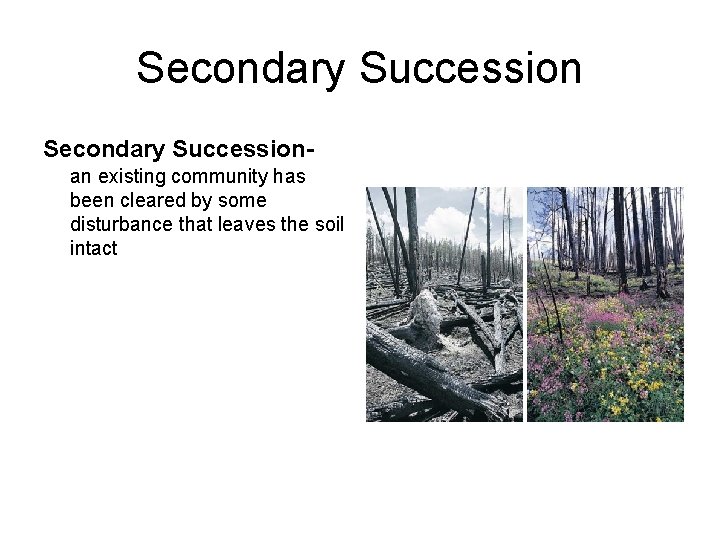 Secondary Succession- an existing community has been cleared by some disturbance that leaves the