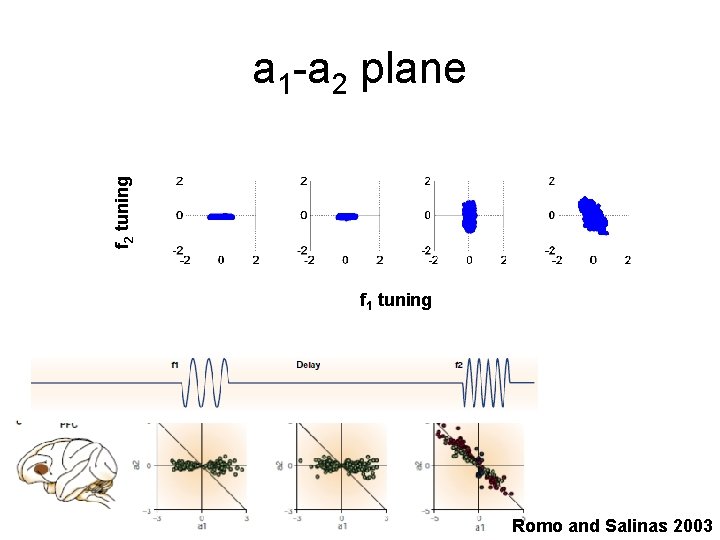 f 2 tuning a 1 -a 2 plane f 1 tuning Romo and Salinas