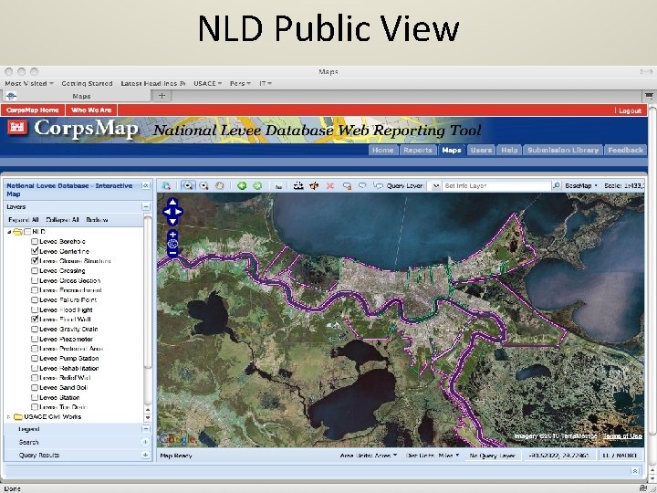 NLD Public View 