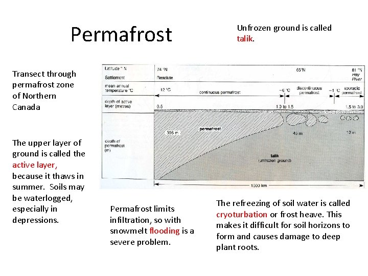 Permafrost Unfrozen ground is called talik. Transect through permafrost zone of Northern Canada The