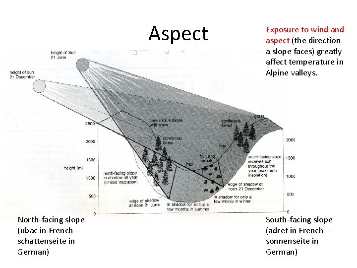 Aspect North-facing slope (ubac in French – schattenseite in German) Exposure to wind aspect
