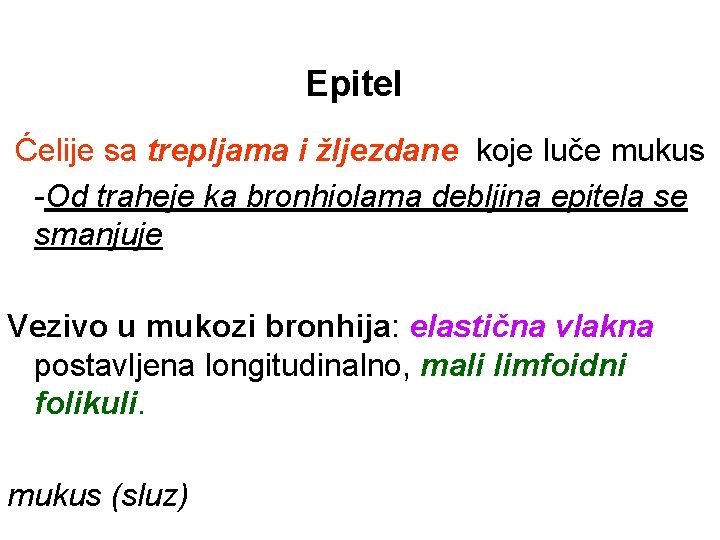 Epitel Ćelije sa trepljama i žljezdane koje luče mukus -Od traheje ka bronhiolama debljina