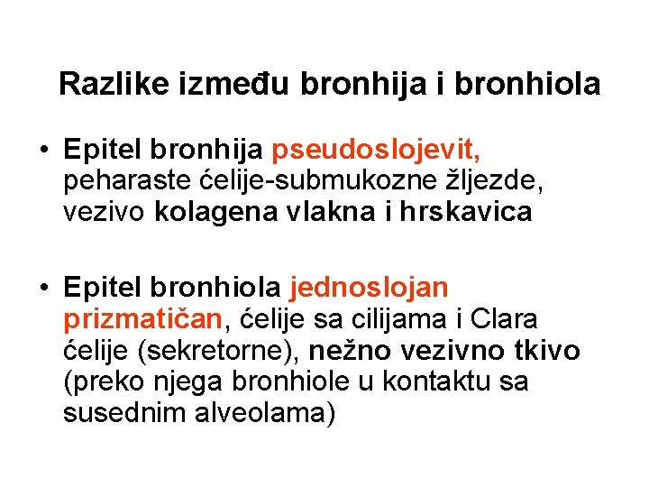 Razlike između bronhija i bronhiola • Epitel bronhija pseudoslojevit, peharaste ćelije-submukozne žljezde, vezivo kolagena