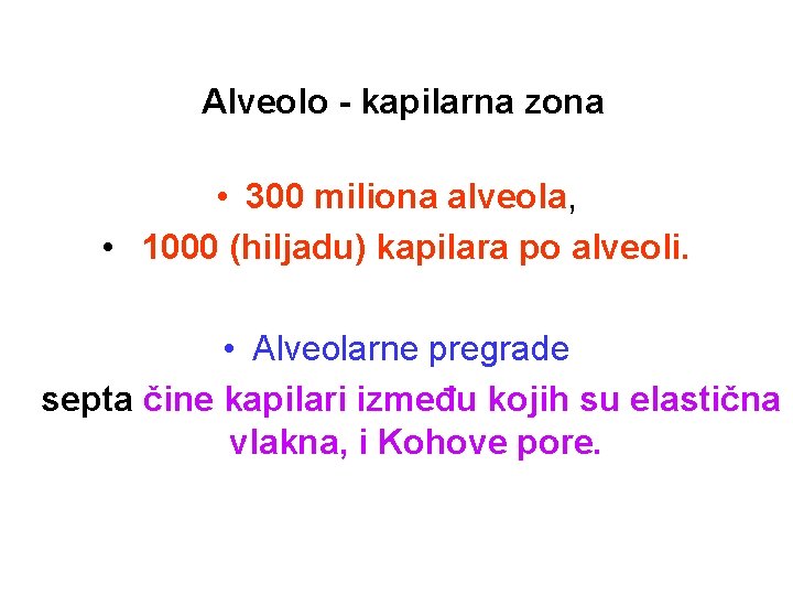 Alveolo - kapilarna zona • 300 miliona alveola, • 1000 (hiljadu) kapilara po alveoli.