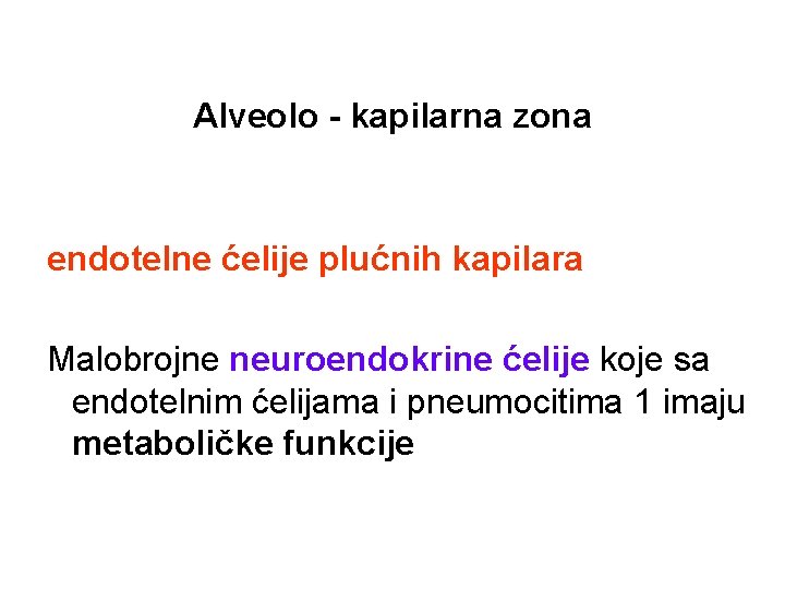 Alveolo - kapilarna zona endotelne ćelije plućnih kapilara Malobrojne neuroendokrine ćelije koje sa endotelnim