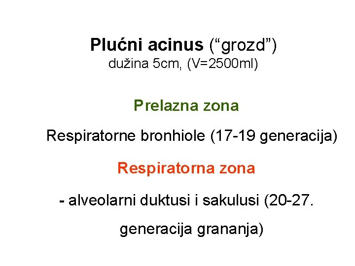 Plućni acinus (“grozd”) dužina 5 cm, (V=2500 ml) Prelazna zona Respiratorne bronhiole (17 -19