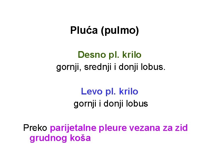 Pluća (pulmo) Desno pl. krilo gornji, srednji i donji lobus. Levo pl. krilo gornji