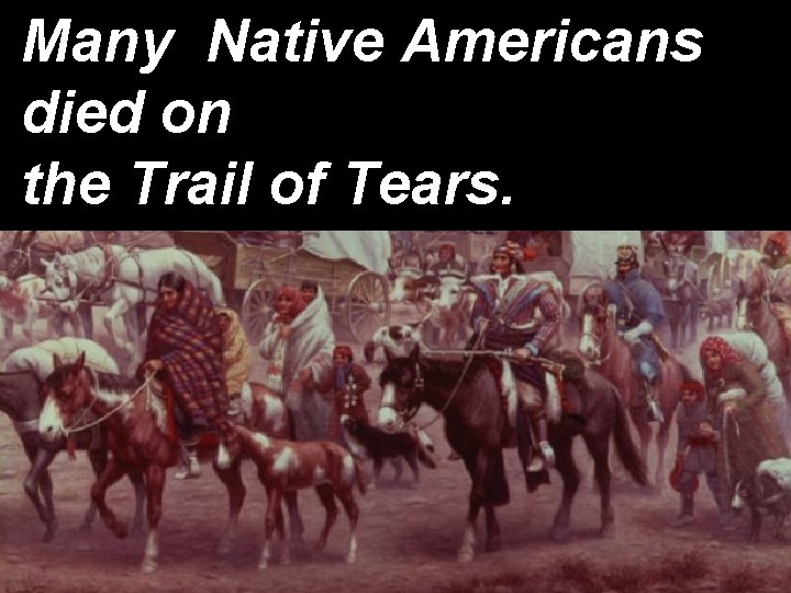 Many Native Americans died on the Trail of Tears. 