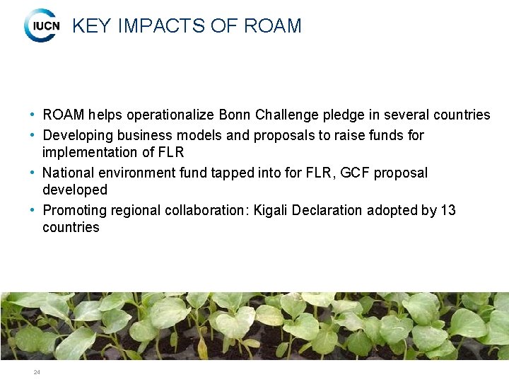 KEY IMPACTS OF ROAM • ROAM helps operationalize Bonn Challenge pledge in several countries
