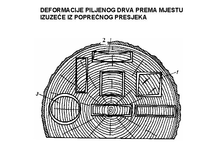 DEFORMACIJE PILJENOG DRVA PREMA MJESTU IZUZEĆE IZ POPREČNOG PRESJEKA 