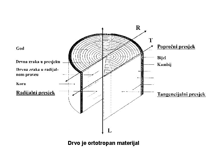 Drvo je ortotropan materijal 